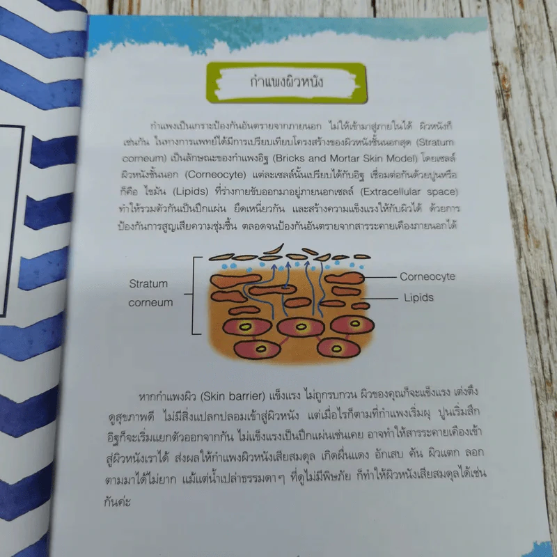 ผิวใสใจสบาย สไตล์หมอแจ๊กกี้ รูปที่ 9
