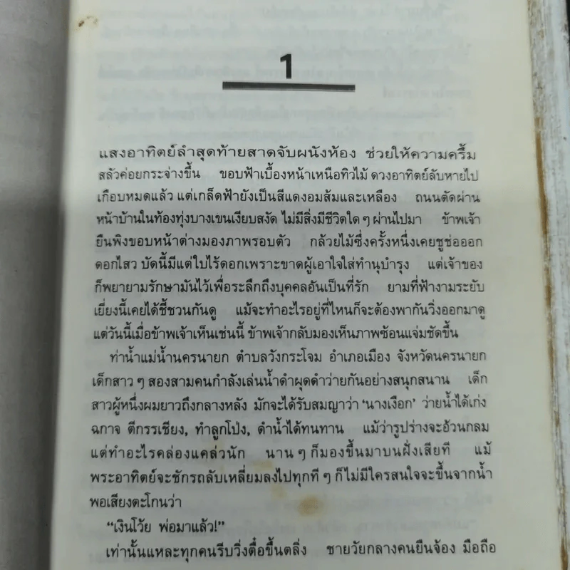 แม่ของจิตร - ภิรมย์ ภูมิศักดิ์ รูปที่ 8