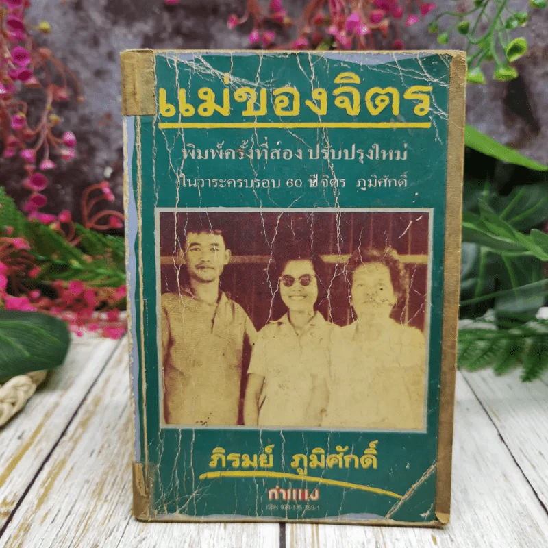 แม่ของจิตร - ภิรมย์ ภูมิศักดิ์ รูปที่ 1