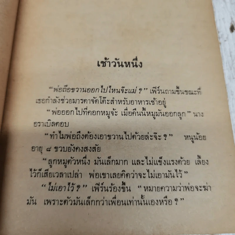 แมงมุมเพื่อนรัก รูปที่ 7