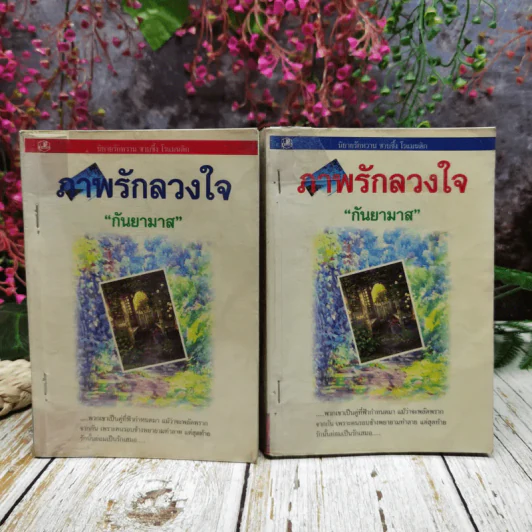ภาพรักลวงใจ 2 เล่มจบ - กันยามาส รูปที่ 1