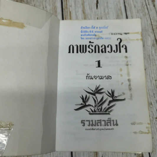 ภาพรักลวงใจ 2 เล่มจบ - กันยามาส รูปที่ 5