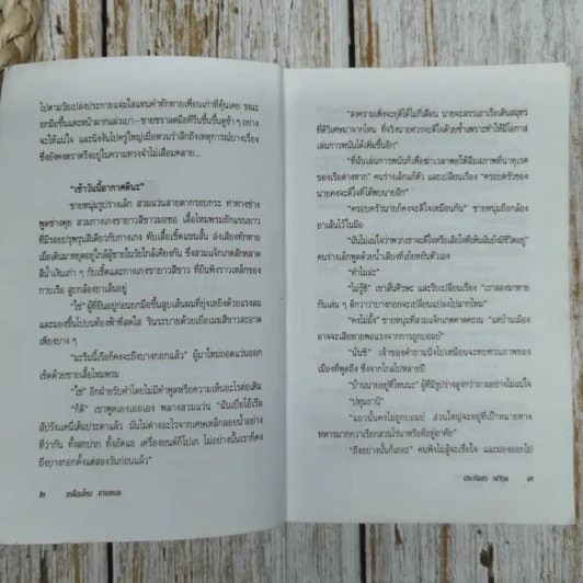 เหลื่อมไหมลายเหมย - ประภัสสร เสวิกุล รูปที่ 9
