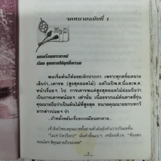 ทมยันตี ตามรอยโกโบริ รูปที่ 7