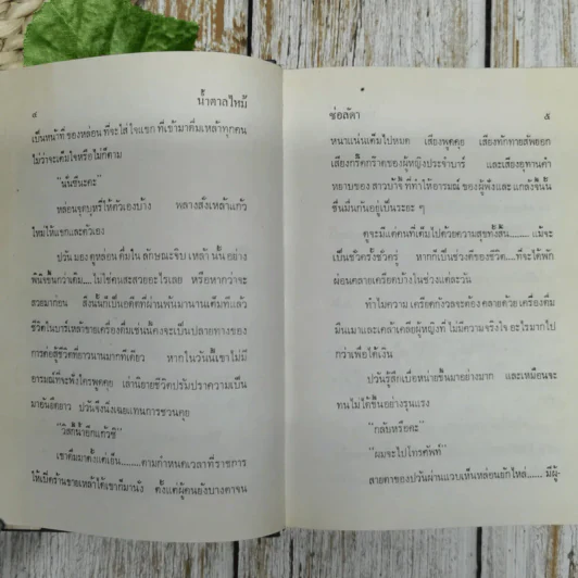 น้ำตาลไหม้ 2 เล่มจบ - ช่อลัดา รูปที่ 8