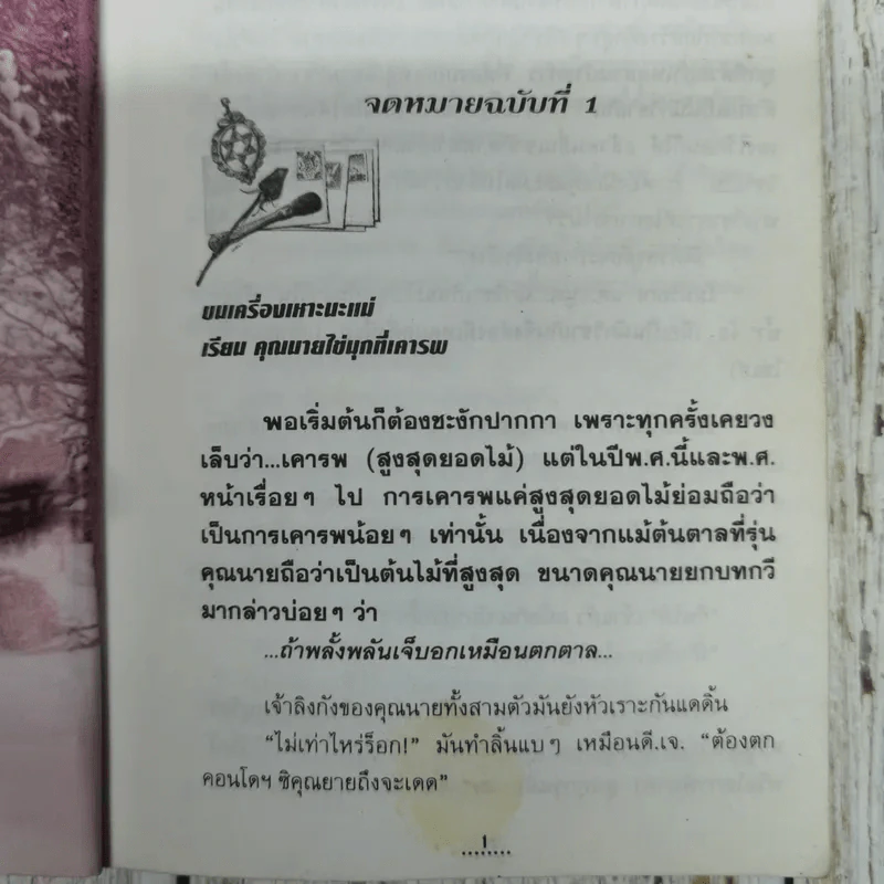ทมยันตี ตามรอยโกโบริ รูปที่ 7