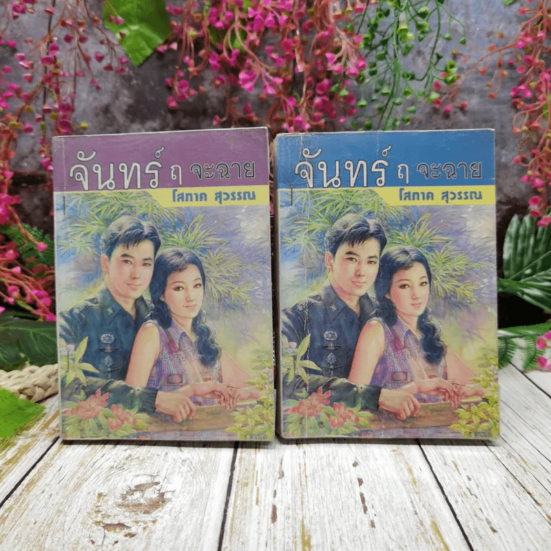 จันทร์ ฤ จะฉาย 2 เล่มจบ - โสภาค สุวรรณ รูปที่ 1