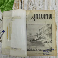 พายุกามเทพ - จามรี พรรณชมพู รูปที่ 5