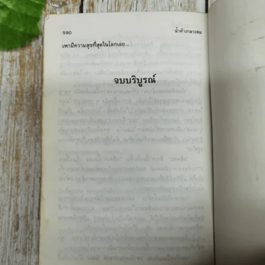 น้ำค้างกลางตม 2 เล่มจบ - พัดชา รูปที่ 9