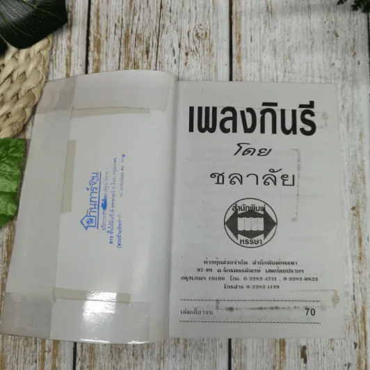 เพลงกินรี - ชลาลัย รูปที่ 6