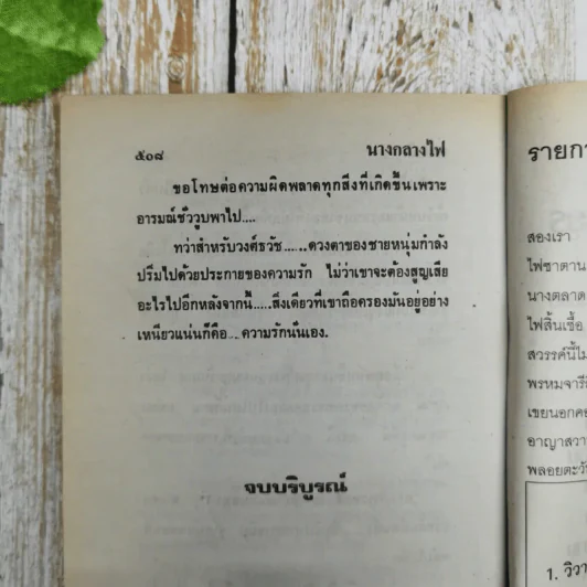 นางกลางไฟ - ชลาลัย รูปที่ 7