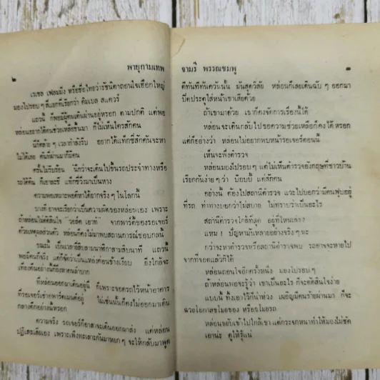 พายุกามเทพ - จามรี พรรณชมพู รูปที่ 7