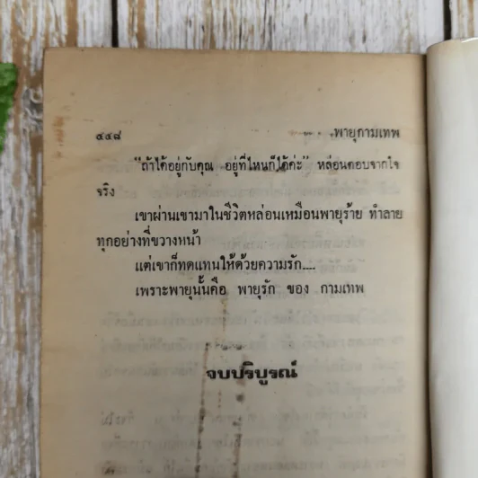 พายุกามเทพ - จามรี พรรณชมพู รูปที่ 8