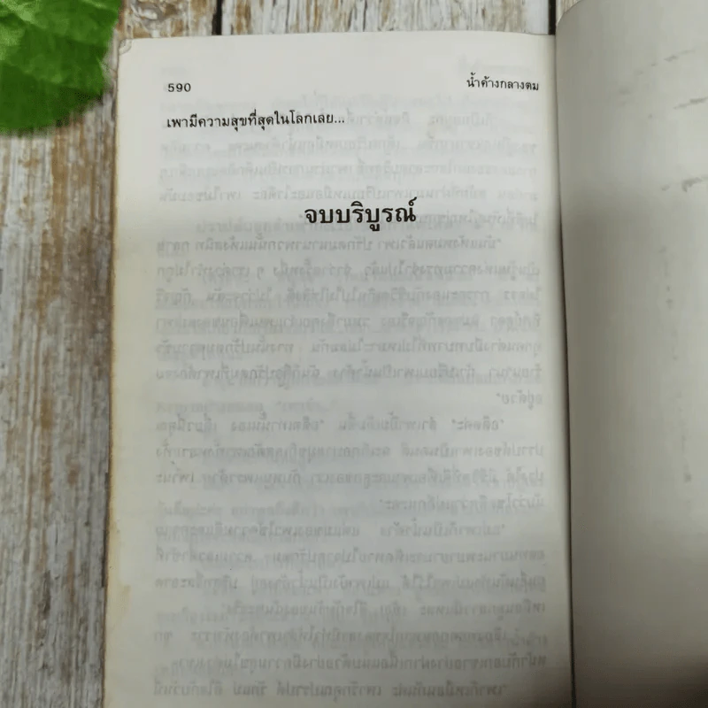 น้ำค้างกลางตม 2 เล่มจบ - พัดชา รูปที่ 9