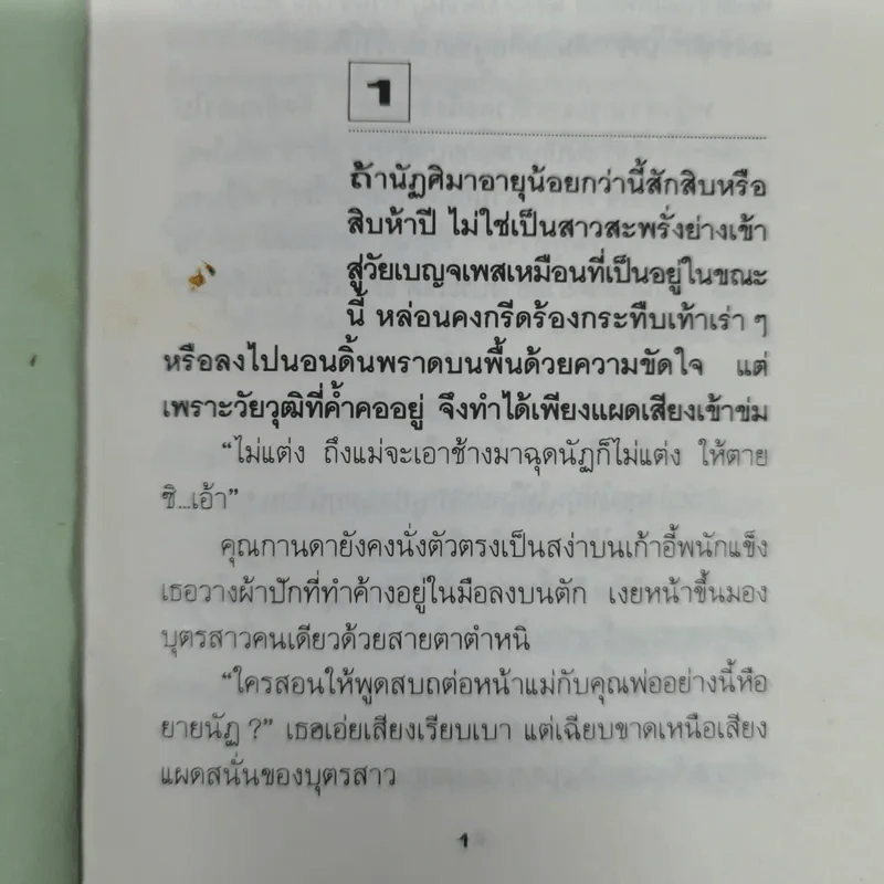 ละครเล่ห์เสน่หา - กิ่งฉัตร รูปที่ 8
