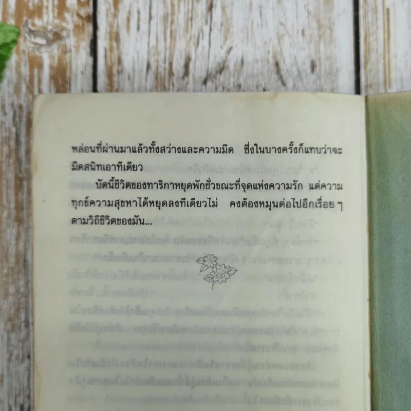 ใครกำหนด - ศรีฟ้า ลดาวัลย์ รูปที่ 9