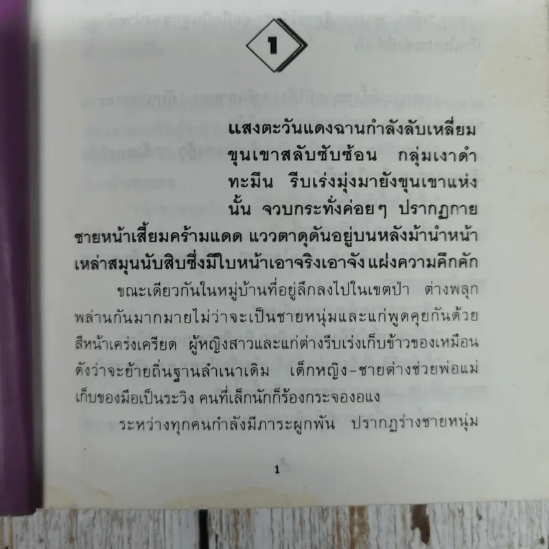 นางเสือดาว - พิศาล อัครเสรณี รูปที่ 6