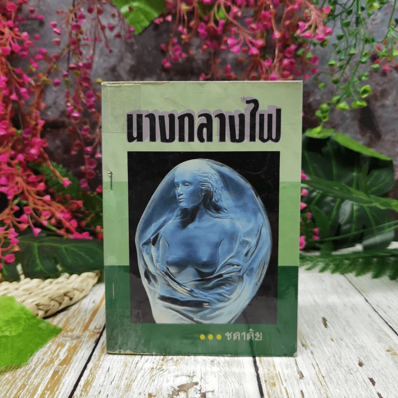 นางกลางไฟ - ชลาลัย รูปที่ 1