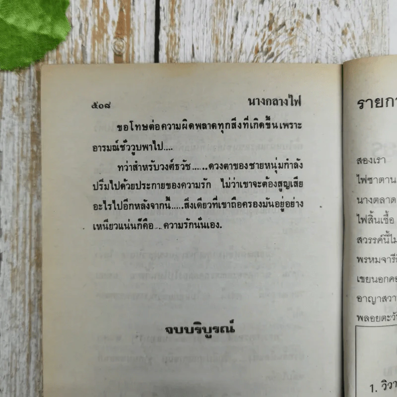 นางกลางไฟ - ชลาลัย รูปที่ 7