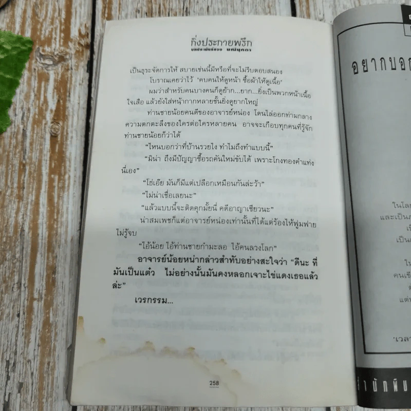 กิ่งประกายพรึก - มณีมุกดา รูปที่ 12