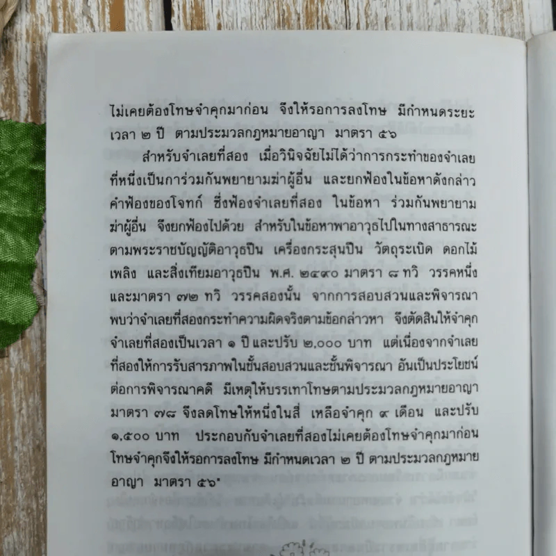 เพลงมายา - ธัญญา วรทัศน์ รูปที่ 8