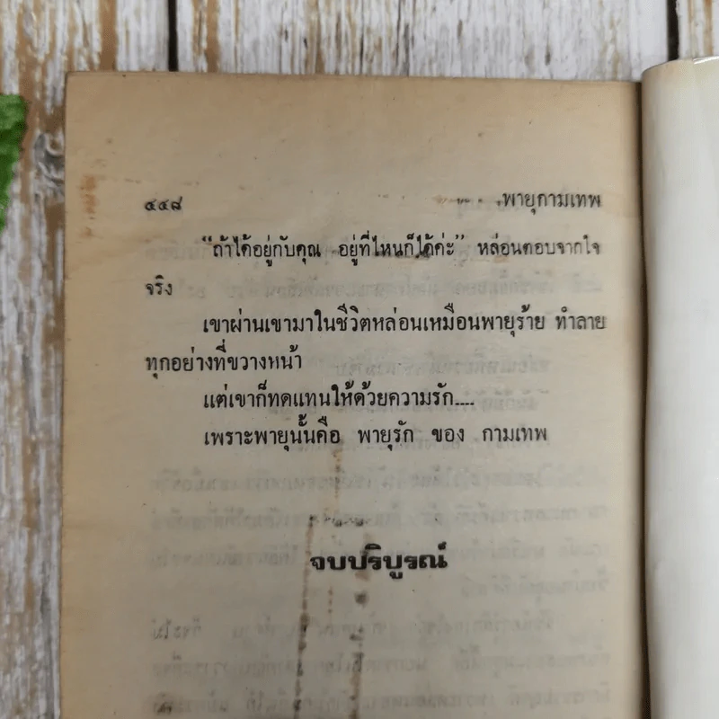 พายุกามเทพ - จามรี พรรณชมพู รูปที่ 8