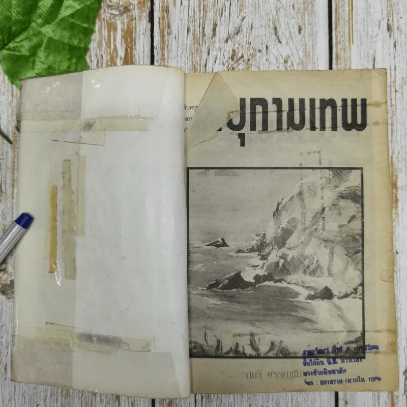 พายุกามเทพ - จามรี พรรณชมพู รูปที่ 5