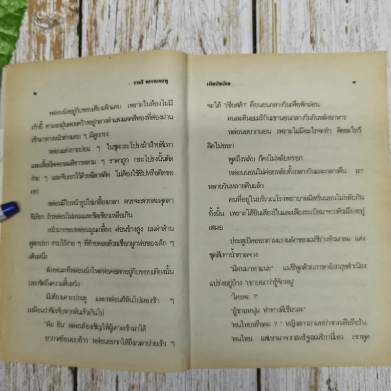 เมียบังเอิญ - จามรี พรรณชมพู รูปที่ 7