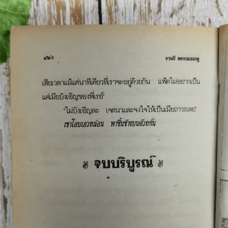 เมียบังเอิญ - จามรี พรรณชมพู รูปที่ 8