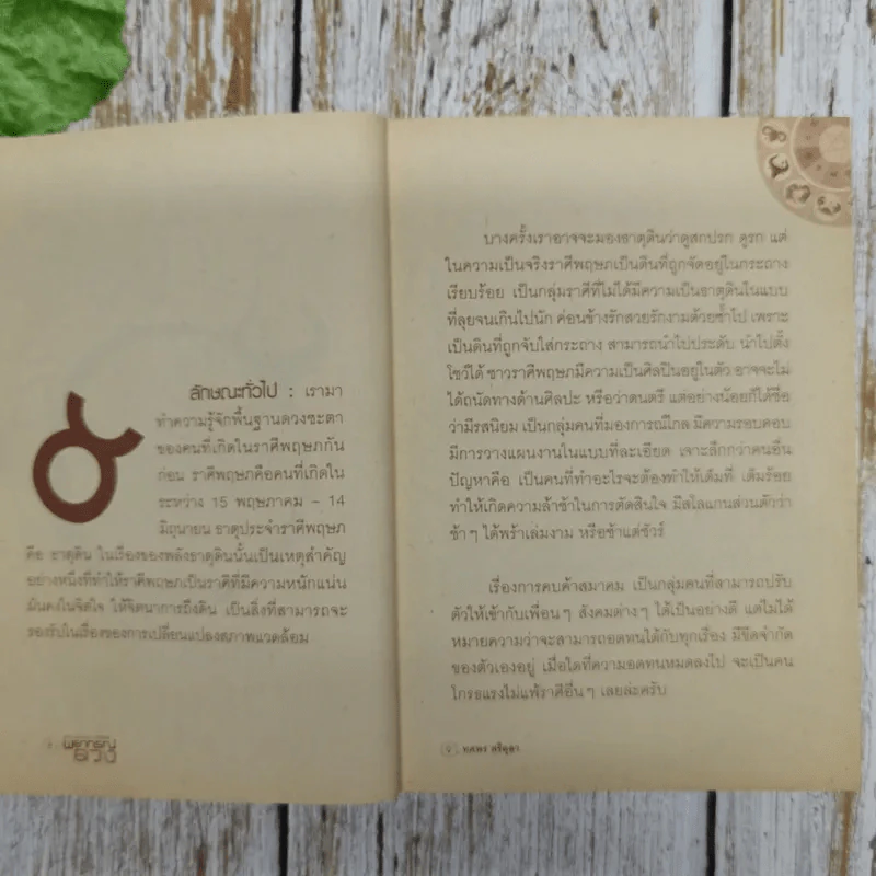 เสริมมงคลชีวิต 2556 พยากรณ์ดวง ผู้เกิดราศีพฤษภ - ทศพร ศรีตุลา (อ.ช้าง) รูปที่ 8