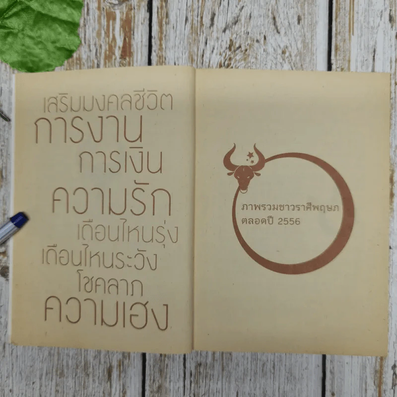 เสริมมงคลชีวิต 2556 พยากรณ์ดวง ผู้เกิดราศีพฤษภ - ทศพร ศรีตุลา (อ.ช้าง) รูปที่ 7