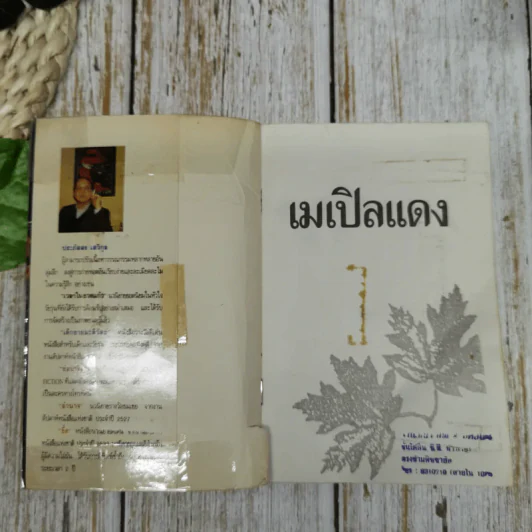 เมเปิลแดง - ประภัสสร เสวิกุล รูปที่ 5
