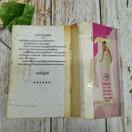 แก้วไร้เรือน - จามรี พรรณชมพู รูปที่ 9