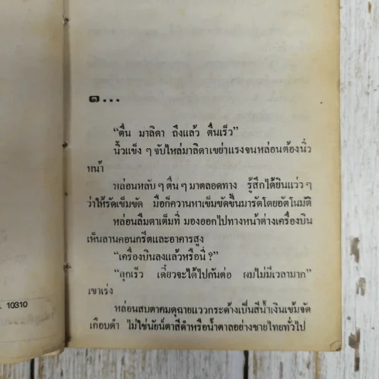 สวรรค์เหิน - จามรี พรรณชมพู รูปที่ 7
