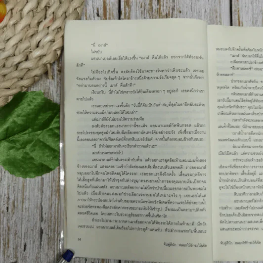 จับคู่ดีนัก หลอกให้รักซะให้เข็ด รูปที่ 11