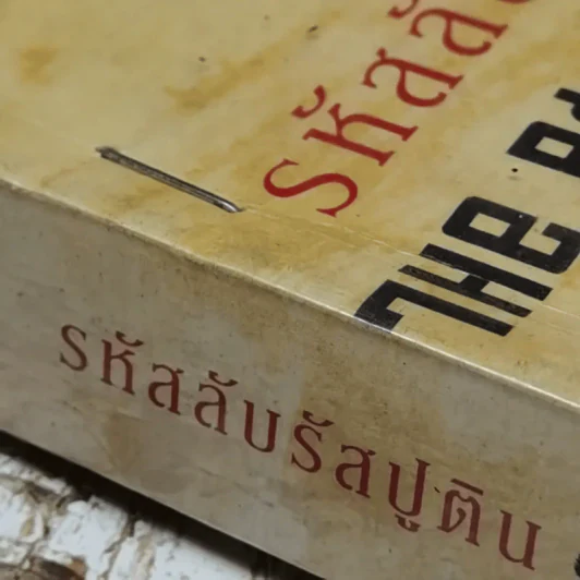 รหัสลับรัสปูติน The Romanov Prophecy รูปที่ 5