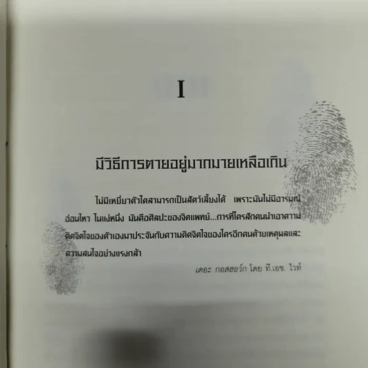ระบำแห่งความตาย The Coffin Dancer รูปที่ 10