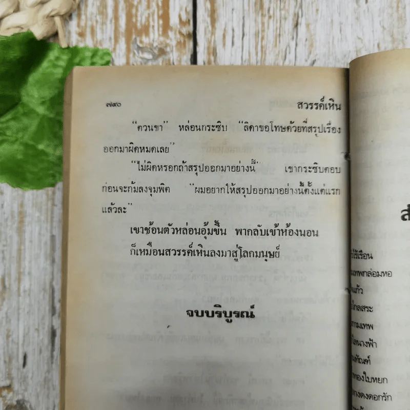 สวรรค์เหิน - จามรี พรรณชมพู รูปที่ 8