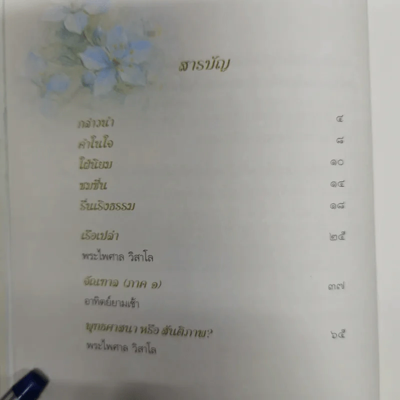 คำขอที่ยิ่งใหญ่ - พระไพศาล วิสาโล รูปที่ 8