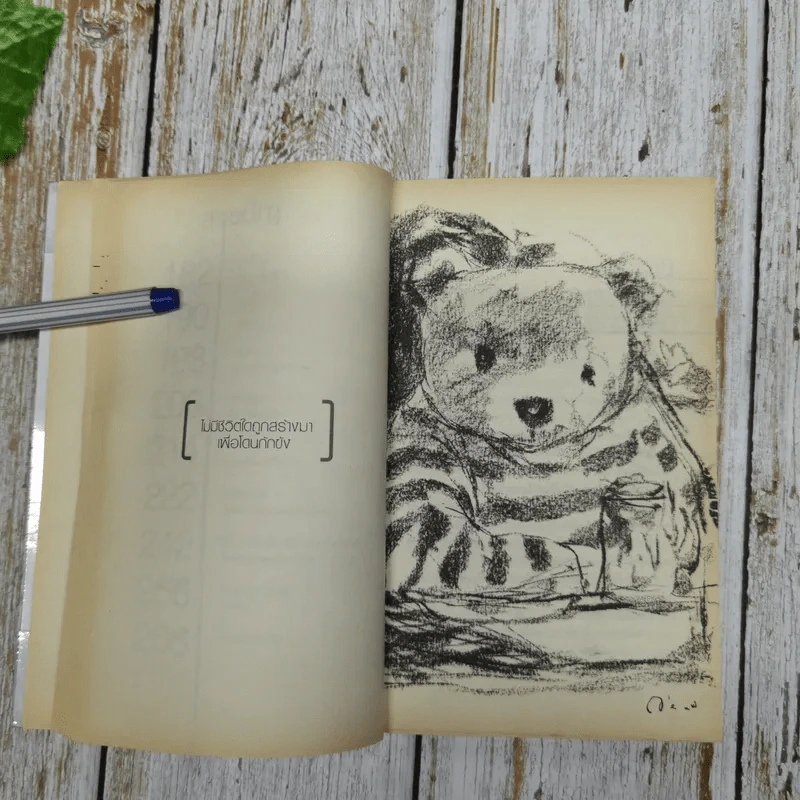 Bearwish - วงศ์ทนง ชัยณรงค์สิงห์ รูปที่ 13