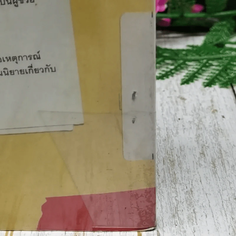 The Assustants องครักษ์พิทักษ์นางมาร รูปที่ 6