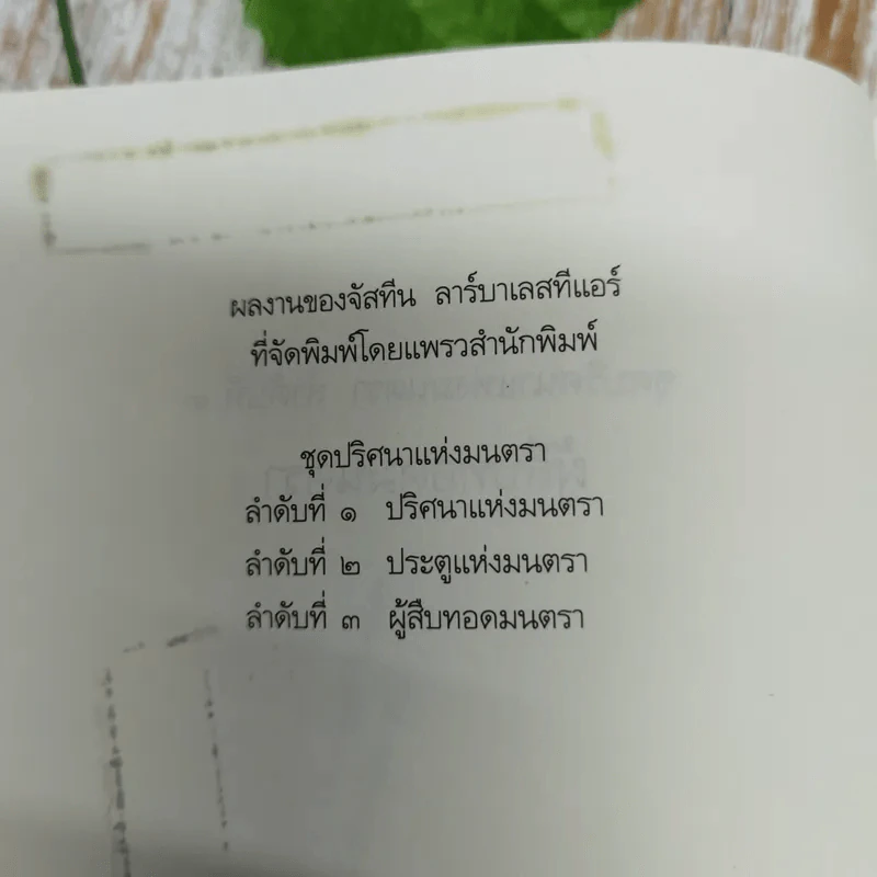 ผู้สืบทอดมนตรา Magic's Child รูปที่ 9