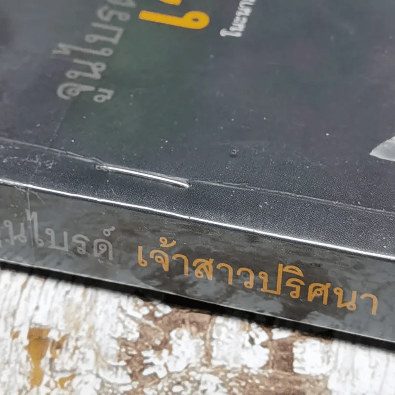 จูนไบรด์ เจ้าสาวปริศนา รูปที่ 5