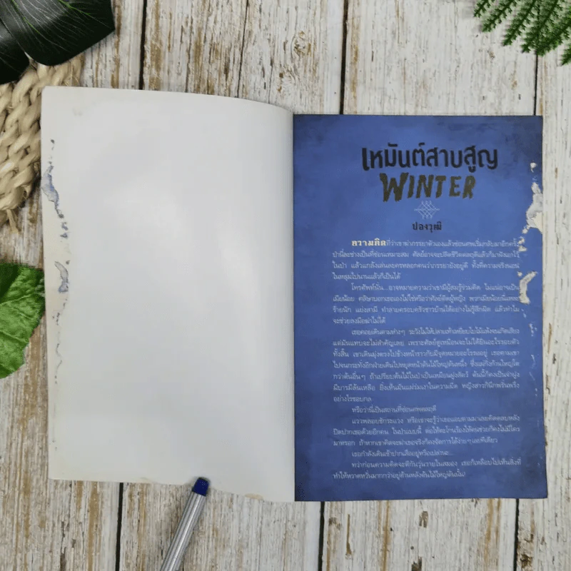 เหมันต์สาบสูญ Winter - ปองวุฒิ รูปที่ 6