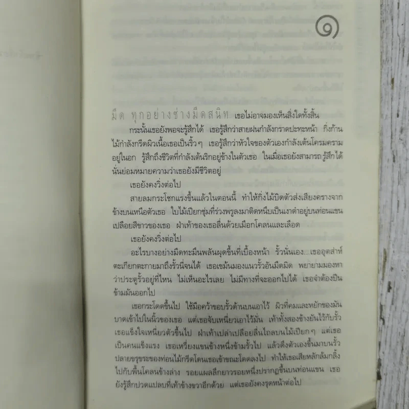 เกาะลับแล Island Bornes รูปที่ 8