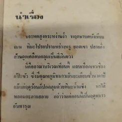 แดนมิคสัญญี เล่ม 1-3 - น.นพรัตน์ รูปที่ 8