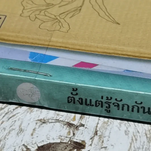 ตั้งแต่รู้จักกันทุกความทรงจำ ของ จุรี โอศิริ รูปที่ 3