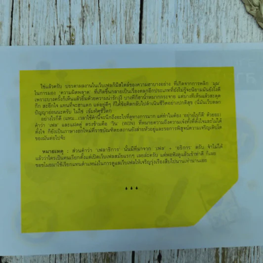 Fail of The สอง Years รูปที่ 8