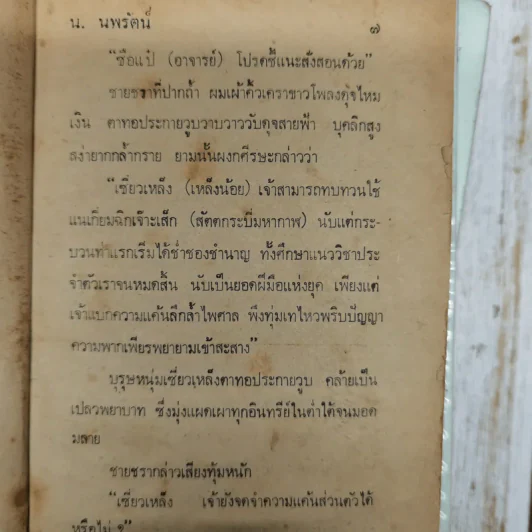 แดนมิคสัญญี เล่ม 1-3 - น.นพรัตน์ รูปที่ 10