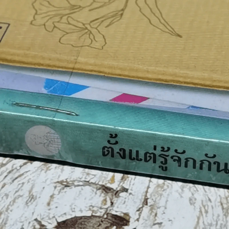 ตั้งแต่รู้จักกันทุกความทรงจำ ของ จุรี โอศิริ รูปที่ 3